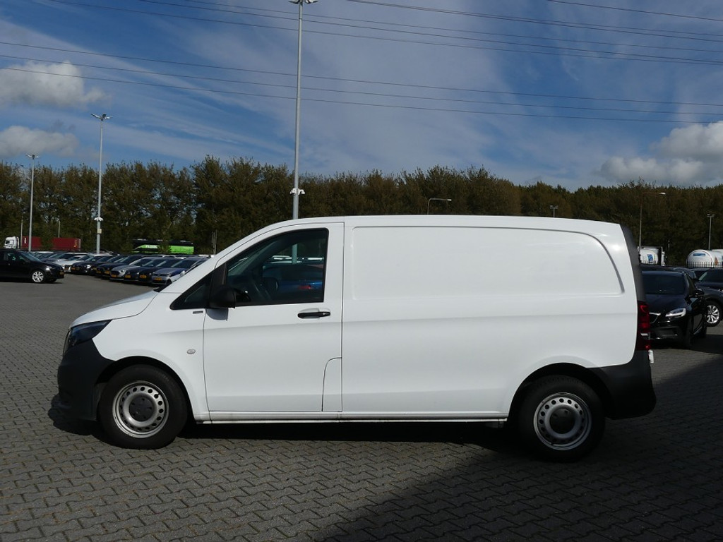 40545431-2.jpg