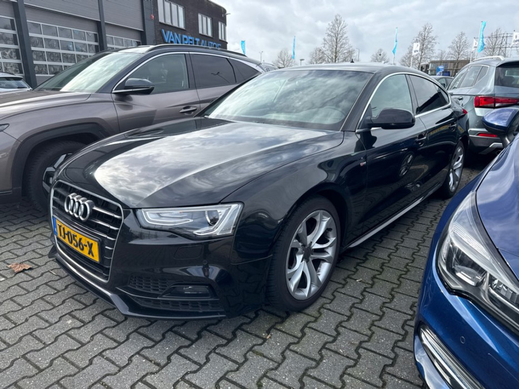 51553869