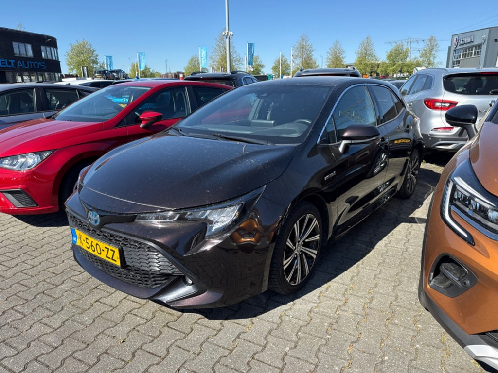 53033495