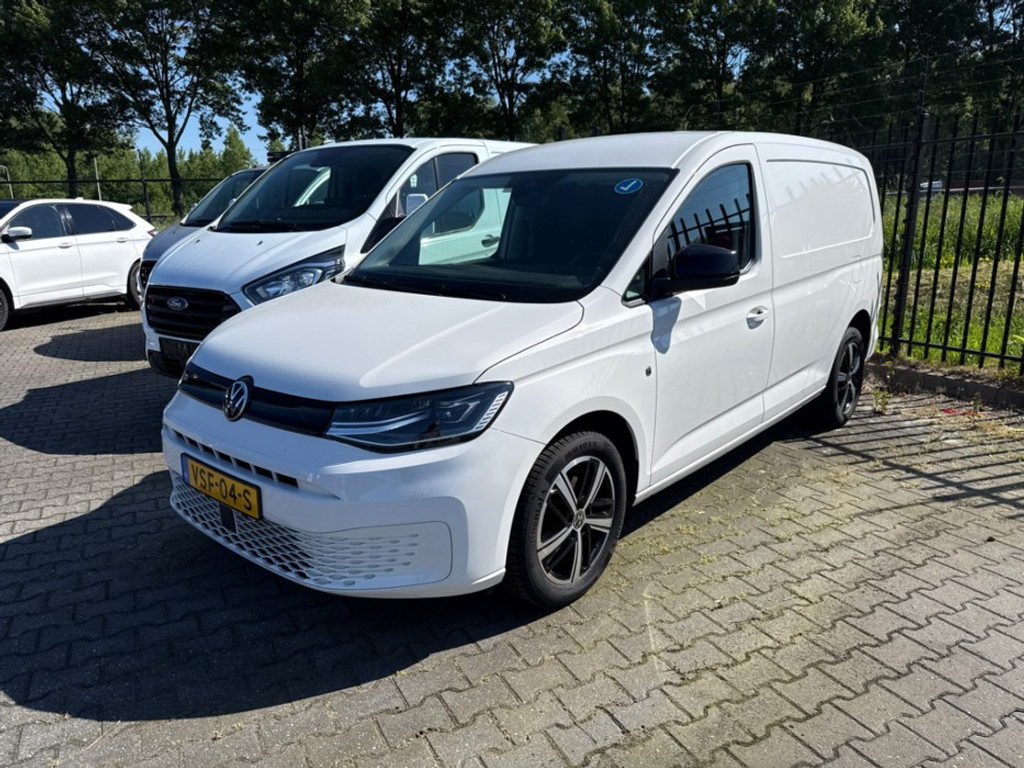 53305204