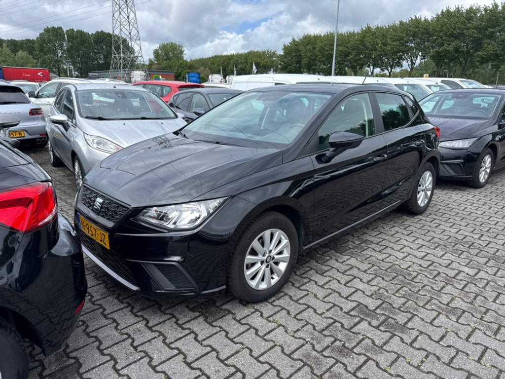 53366073