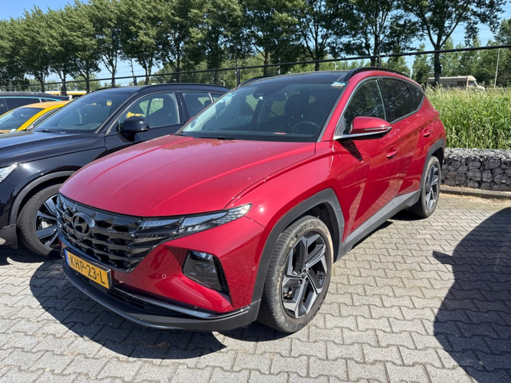 53398443