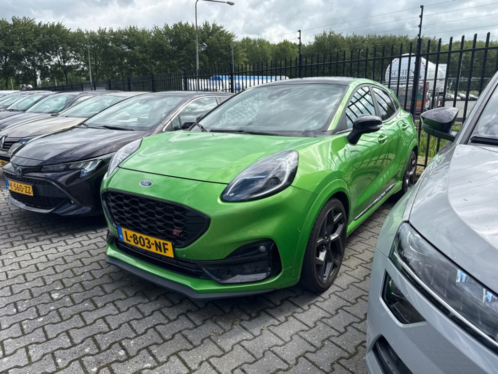 54037981