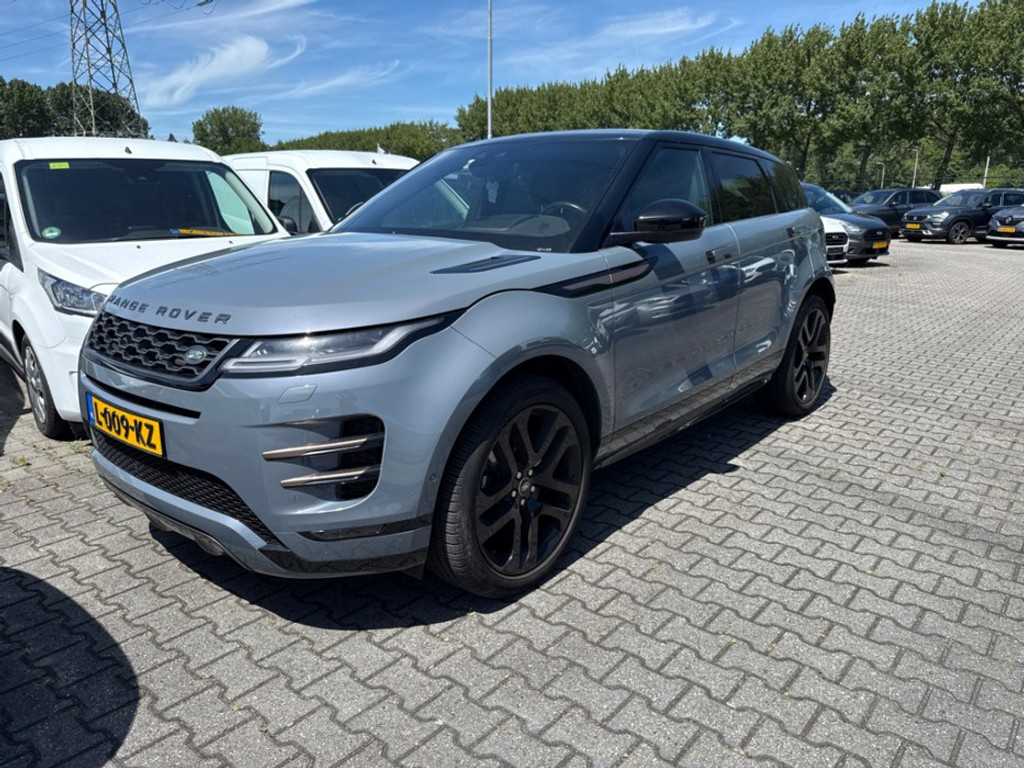 54412520