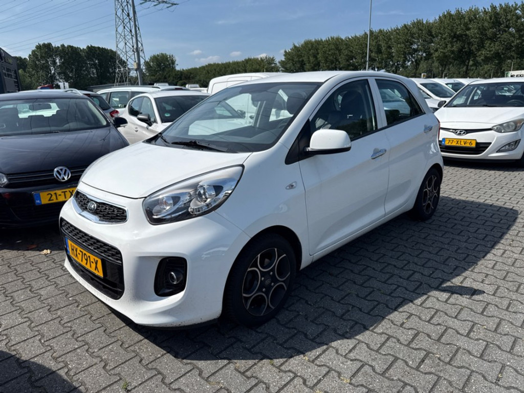 54442628