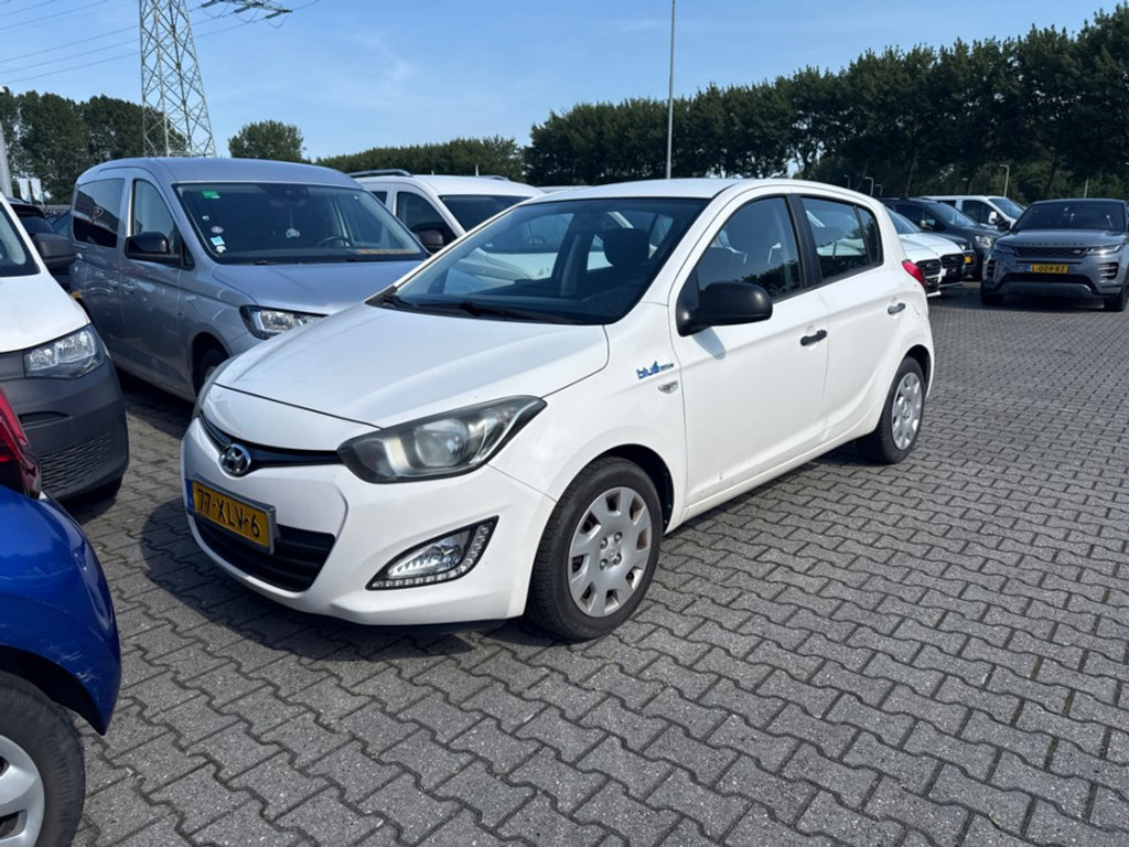 54444638