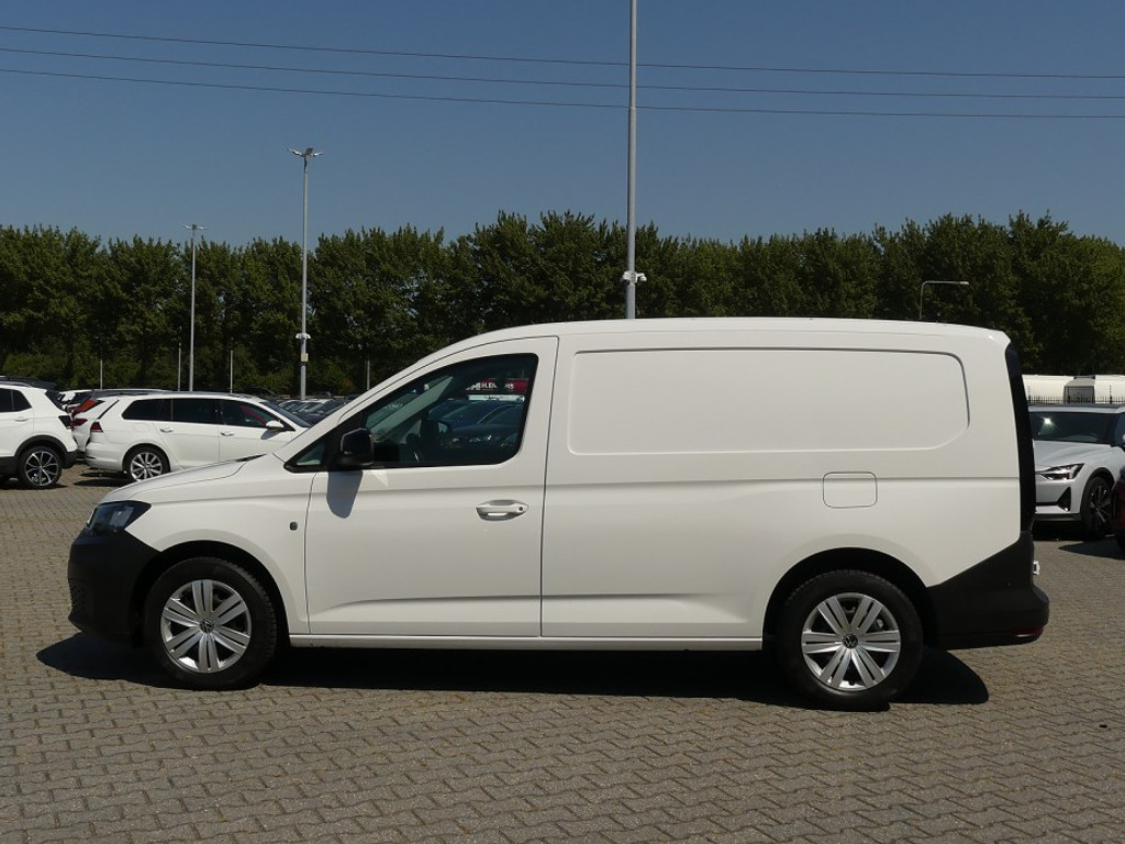 54830077-2.jpg