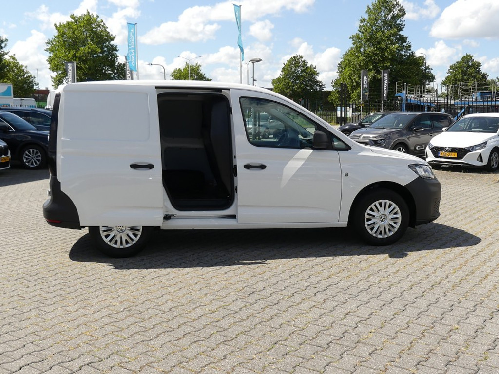 55399142-7.jpg