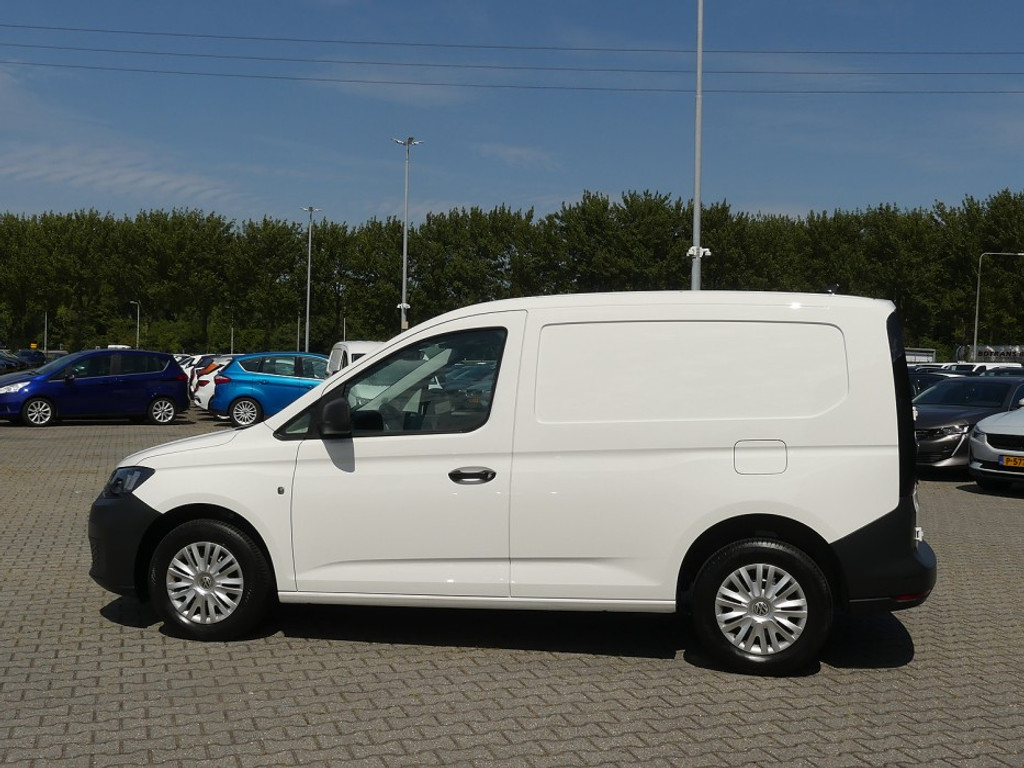 55399146-2.jpg