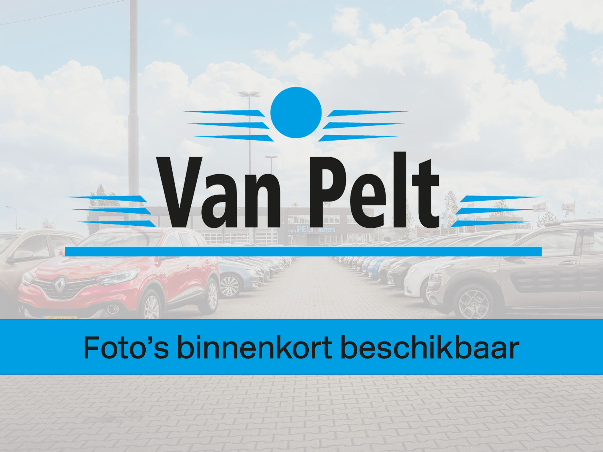 55577823