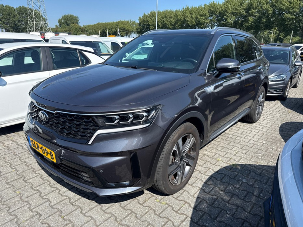 55643005