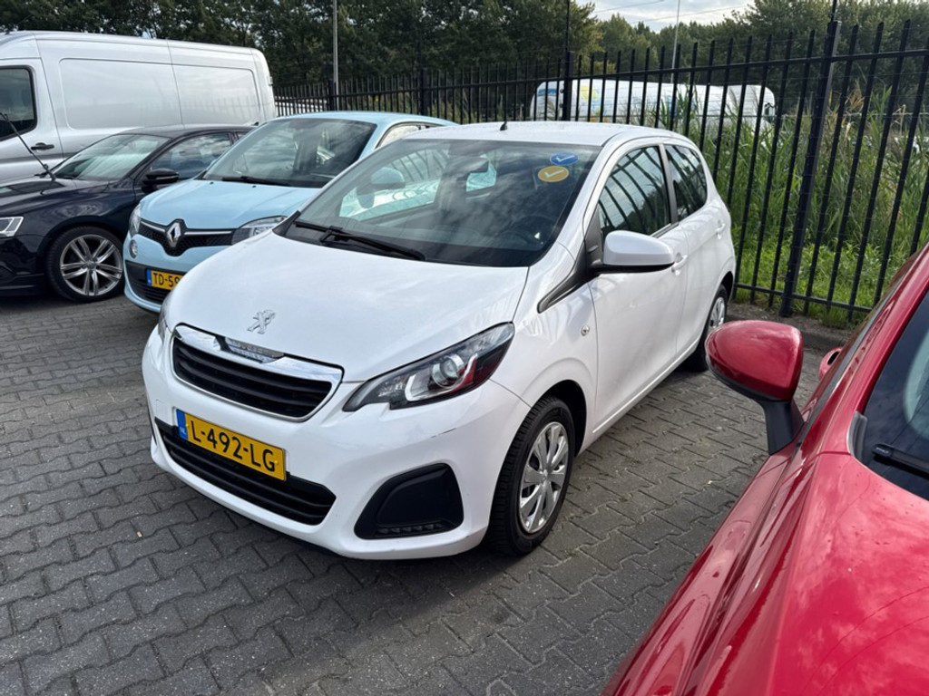 55945004