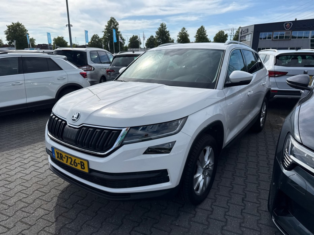 56195596